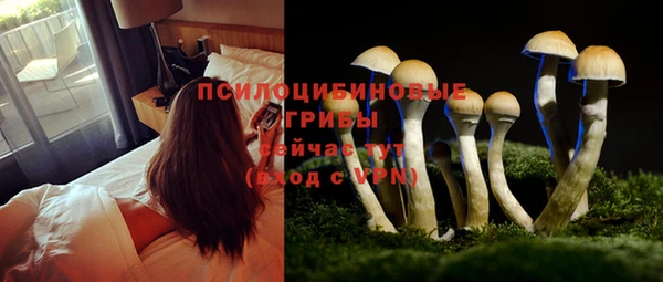 герыч Елизово