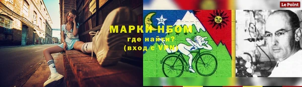 шишки Елабуга