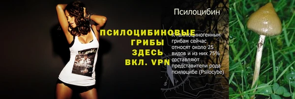 прущие грибы Ельня