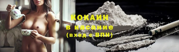 прущие грибы Ельня