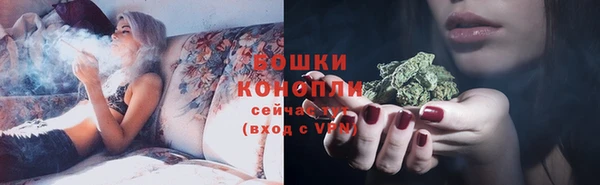 прущие грибы Ельня