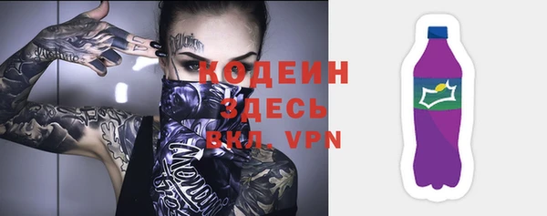 прущие грибы Ельня