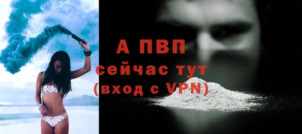 прущие грибы Ельня