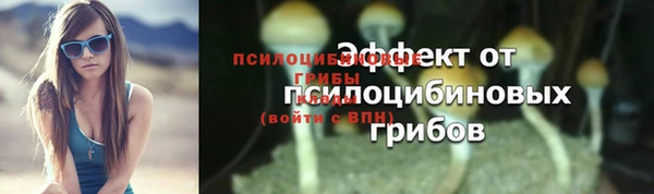 индика Усмань