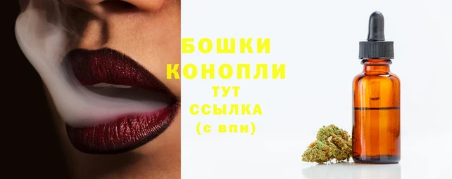 шишки Елабуга