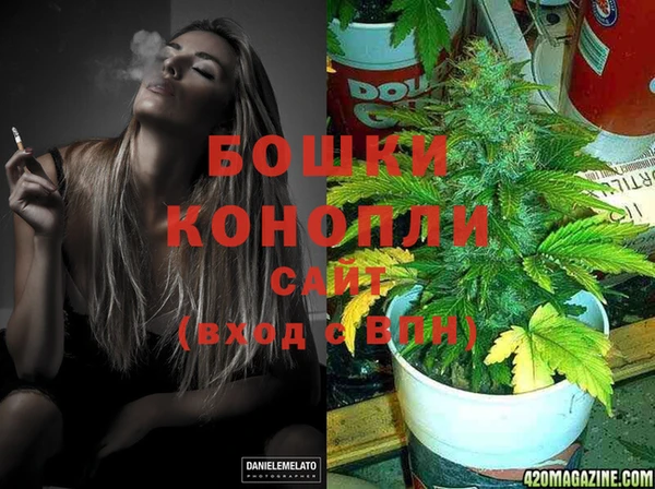 прущие грибы Ельня