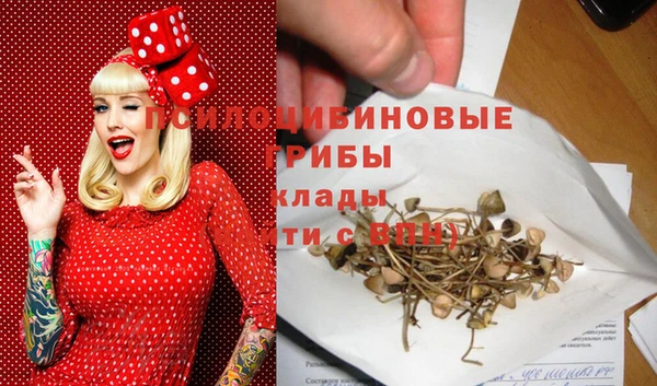 шишки Елабуга