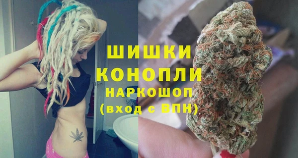 прущие грибы Ельня
