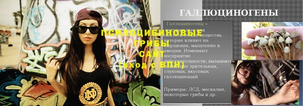 шишки Елабуга
