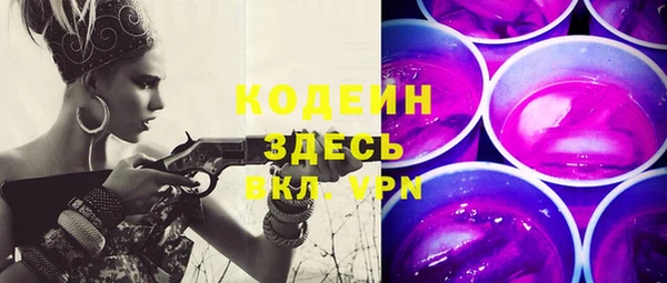 прущие грибы Ельня