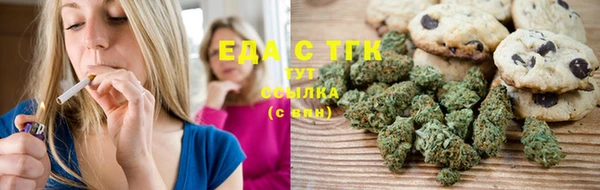 прущие грибы Ельня