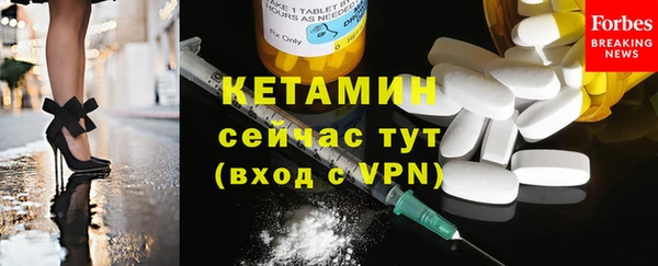 прущие грибы Ельня