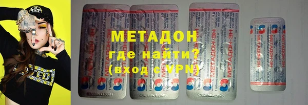 прущие грибы Ельня