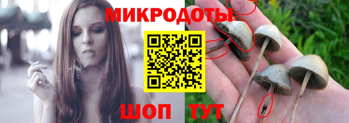 Псилоцибиновые грибы прущие грибы Каменск-Уральский
